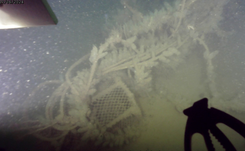 A SAMS ROV finds some lost creels off the Argyll coast