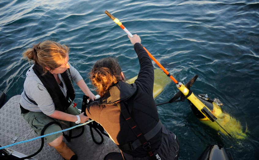 From its Scottish Marine Robotics Facility, SAMS operates a fleet of gliders, as well as other autonomous underwater platforms